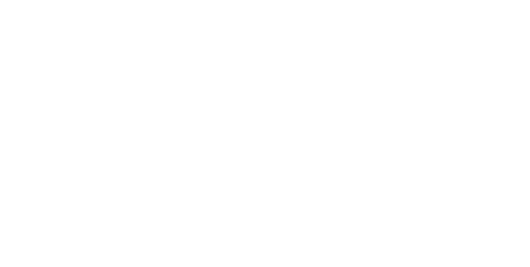 Logo_NIC EIC Carousel